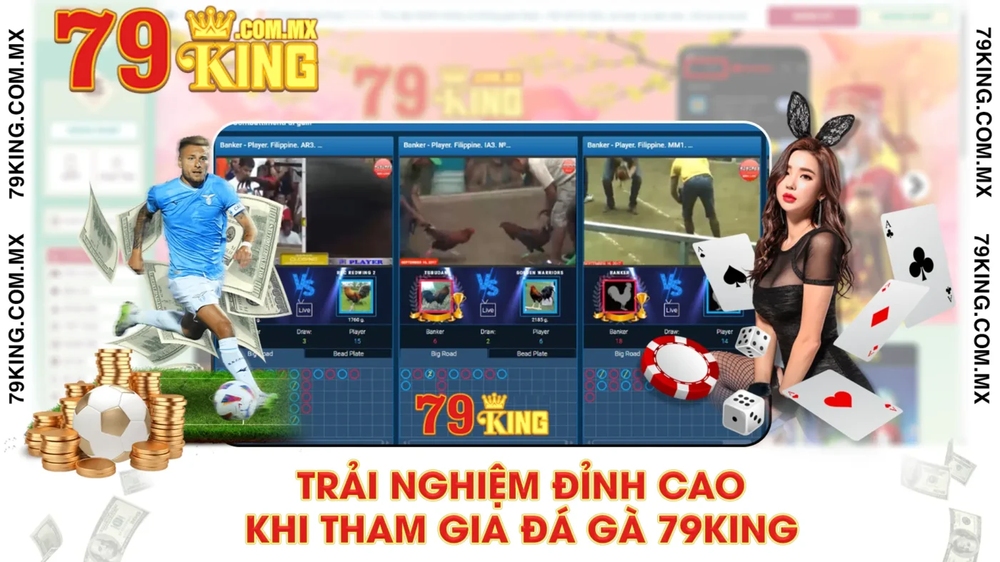 đá gà 79King 02